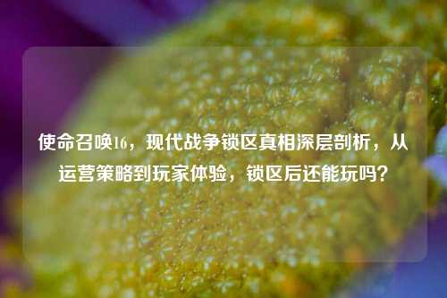 使命召唤16,现代战争锁区真相深层剖析,从运营策略到玩家体验,锁区后还能玩吗?