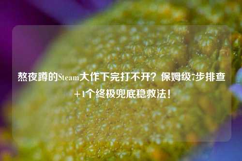 熬夜蹲的Steam大作下完打不开?保姆级7步排查+1个终极兜底稳救法!