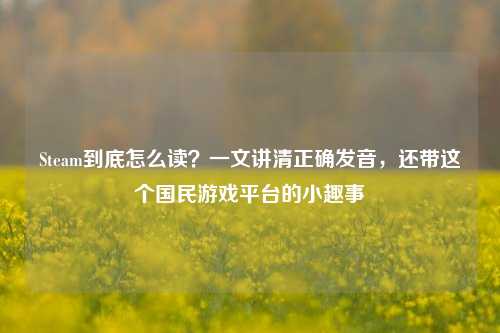 Steam到底怎么读?一文讲清正确发音,还带这个国民游戏平台的小趣事