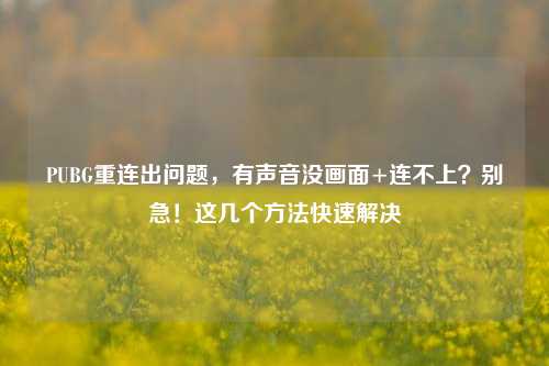 PUBG重连出问题,有声音没画面+连不上?别急!这几个 *** 快速解决