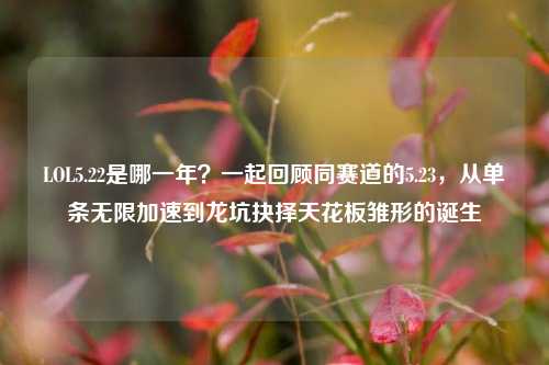 LOL5.22是哪一年?一起回顾同赛道的5.23,从单条无限加速到龙坑抉择天花板雏形的诞生