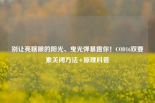 别让亮瞎眼的阳光、曳光弹暴露你!COD16双要素关闭 *** +原理科普