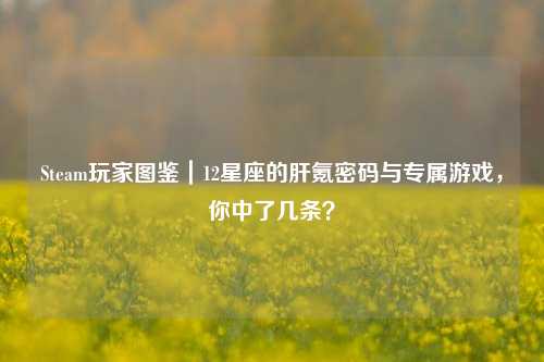 Steam玩家图鉴|12星座的肝氪密码与专属游戏,你中了几条?