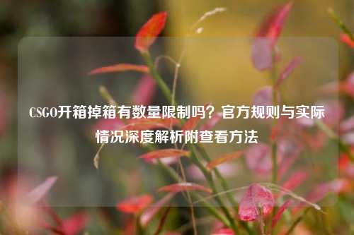 CSGO开箱掉箱有数量限制吗?官方规则与实际情况深度解析附查看 ***