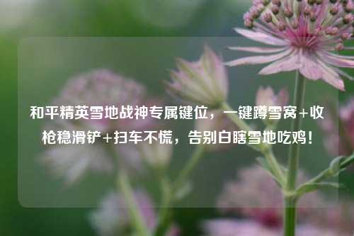 和平精英雪地战神专属键位,一键蹲雪窝+收枪稳滑铲+扫车不慌,告别白瞎雪地吃鸡!