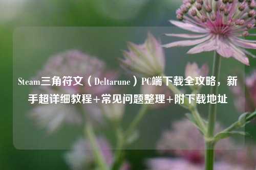 Steam三角符文(Deltarune)PC端下载全攻略,新手超详细教程+常见问题整理+附下载地址