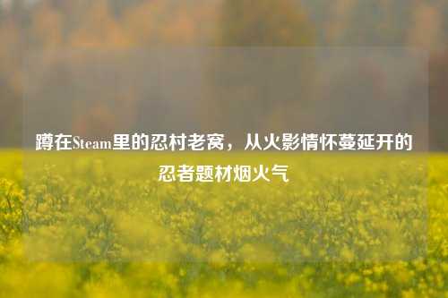 蹲在Steam里的忍村老窝,从火影情怀蔓延开的忍者题材烟火气