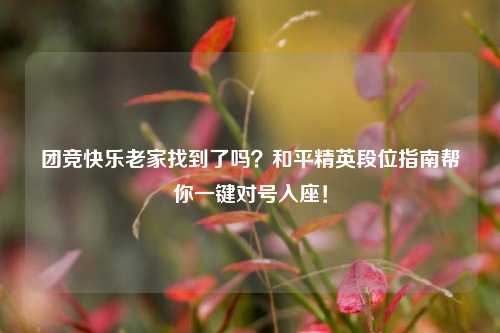 团竞快乐老家找到了吗?和平精英段位指南帮你一键对号入座!