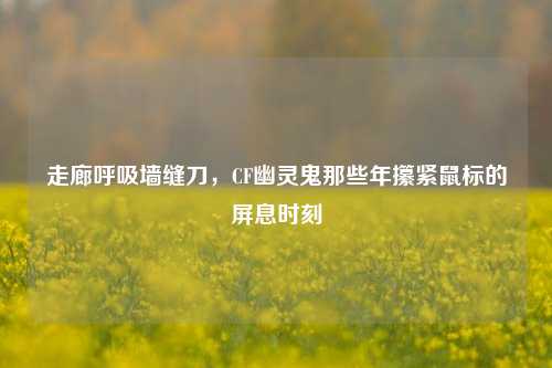 走廊呼吸墙缝刀,CF幽灵鬼那些年攥紧鼠标的屏息时刻