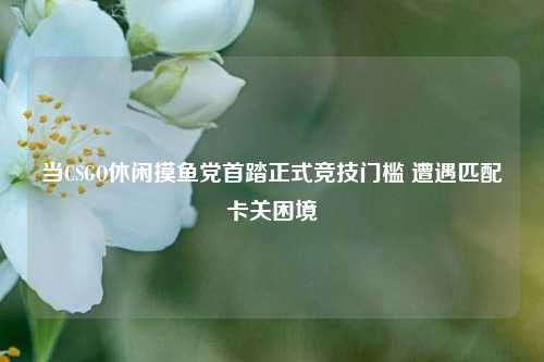 当CSGO休闲摸鱼党首踏正式竞技门槛 遭遇匹配卡关困境