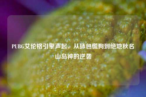 PUBG艾伦格引擎声起,从舔包慌狗到绝地秋名山岛神的逆袭