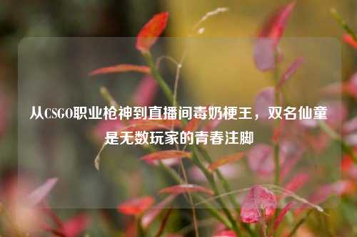 从CSGO职业枪神到直播间毒奶梗王,双名仙童是无数玩家的青春注脚