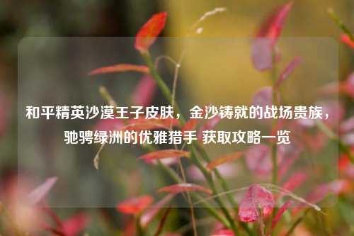 和平精英沙漠王子皮肤,金沙铸就的战场贵族,驰骋绿洲的优雅猎手 获取攻略一览