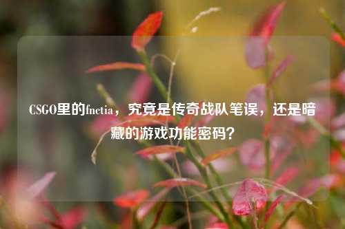 CSGO里的fnctia,究竟是传奇战队笔误,还是暗藏的游戏功能密码?