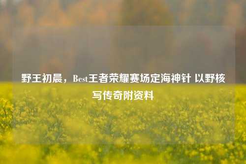 野王初晨,Best王者荣耀赛场定海神针 以野核写传奇附资料