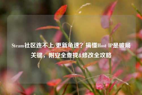 Steam社区连不上/更新龟速?搞懂Host IP是破局关键,附安全查找&修改全攻略