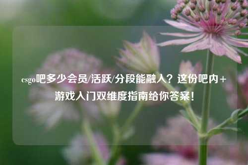 csgo吧多少会员/活跃/分段能融入?这份吧内+游戏入门双维度指南给你答案!