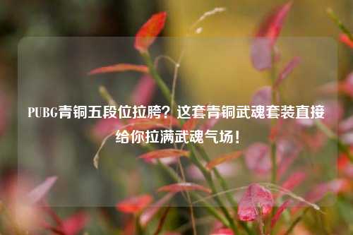 PUBG青铜五段位拉胯?这套青铜武魂套装直接给你拉满武魂气场!