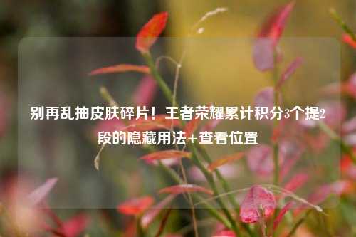 别再乱抽皮肤碎片!王者荣耀累计积分3个提2段的隐藏用法+查看位置
