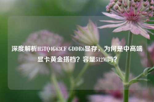 深度解析H5TQ4G63CF GDDR6显存,为何是中高端显卡黄金搭档?容量512M吗?