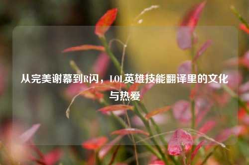 从完美谢幕到R闪,LOL英雄技能翻译里的文化与热爱