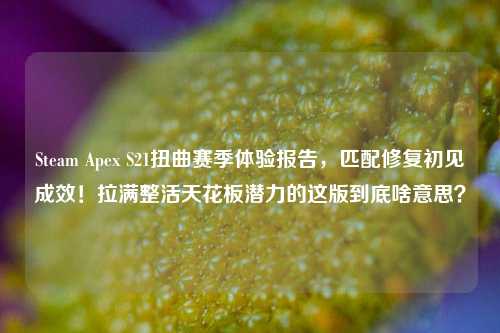 Steam Apex S21扭曲赛季体验报告,匹配修复初见成效!拉满整活天花板潜力的这版到底啥意思?