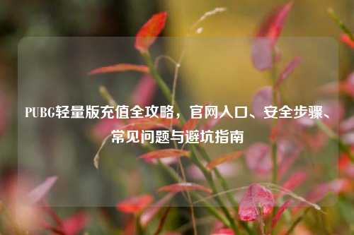 PUBG轻量版充值全攻略,官网入口、安全步骤、常见问题与避坑指南