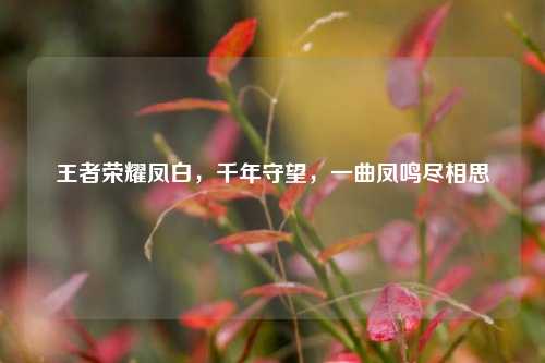 王者荣耀凤白,千年守望,一曲凤鸣尽相思