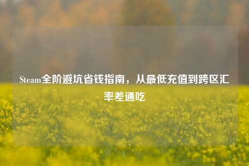 Steam全阶避坑省钱指南,从更低充值到跨区汇率差通吃