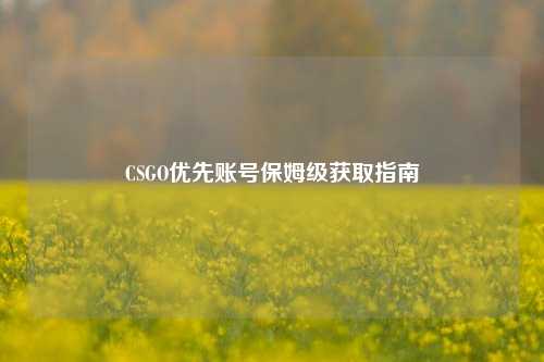 CSGO优先账号保姆级获取指南