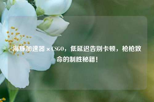 海豚加速器×CSGO,低延迟告别卡顿,枪枪致命的制胜秘籍!