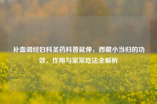 补血调经妇科圣药科普延伸,***小当归的功效、作用与家常吃法全解析