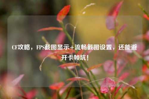 CF攻略,FPS截图显示+流畅截图设置,还能避开卡帧坑!