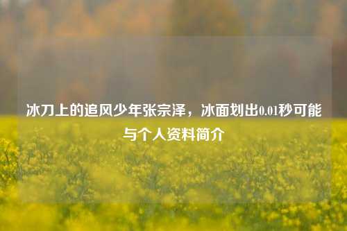 冰刀上的追风少年张宗泽,冰面划出0.01秒可能与个人资料简介