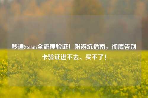 秒通Steam全流程验证!附避坑指南,彻底告别卡验证进不去、买不了!