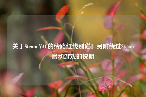 关于Steam VAC的绕路红线别碰!另附绕过Steam启动游戏的说明