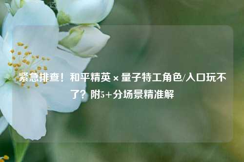 紧急排查!和平精英×量子特工角色/入口玩不了?附5+分场景精准解