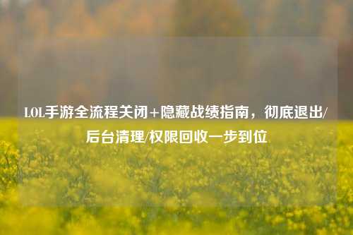 LOL手游全流程关闭+隐藏战绩指南,彻底退出/后台清理/权限回收一步到位