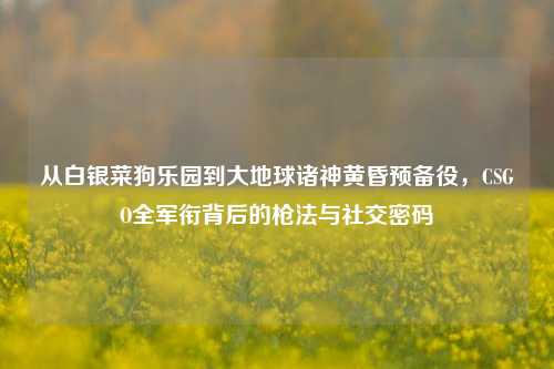 从白银菜狗乐园到大地球诸神黄昏预备役,CSGO全军衔背后的枪法与社交密码