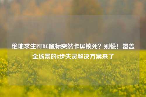绝地求生PUBG鼠标突然卡屏锁死?别慌!覆盖全场景的8步失灵解决方案来了