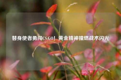 替身使者勇闯CS:GO!黄金精神撞燃战术闪光