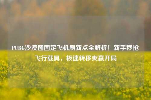 PUBG沙漠图固定飞机刷新点全解析!新手秒抢飞行载具,极速转移爽赢开局