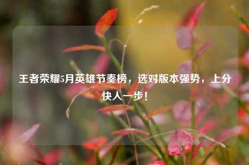 王者荣耀5月英雄节奏榜,选对版本强势,上分快人一步!