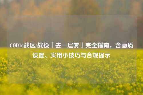 COD16战区/战役「去一层雾」完全指南,含画质设置、实用小技巧与合规提示