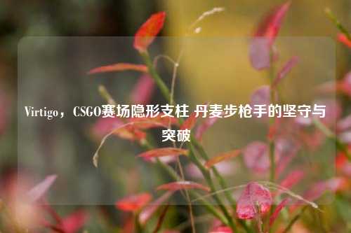 Virtigo,CSGO赛场隐形支柱 丹麦步***的坚守与突破