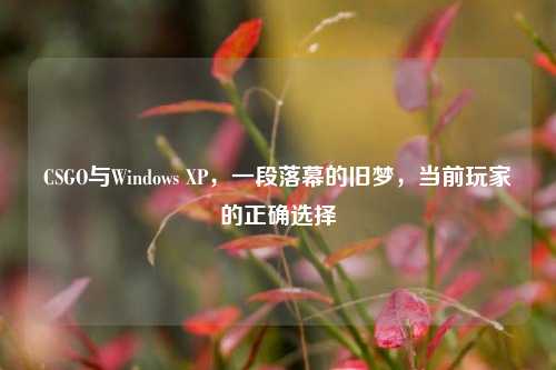 CSGO与Windows XP,一段落幕的旧梦,当前玩家的正确选择