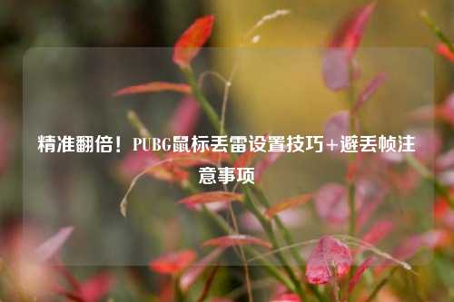 精准翻倍!PUBG鼠标丢雷设置技巧+避丢帧注意事项