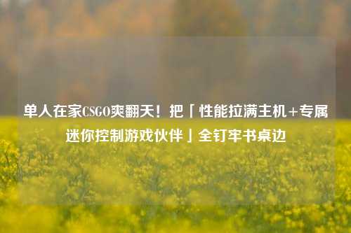 单人在家CSGO爽翻天!把「性能拉满主机+专属迷你控制游戏伙伴」全钉牢书桌边