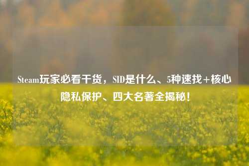 Steam玩家必看干货,SID是什么、5种速找+核心隐私保护、四大名著全揭秘!