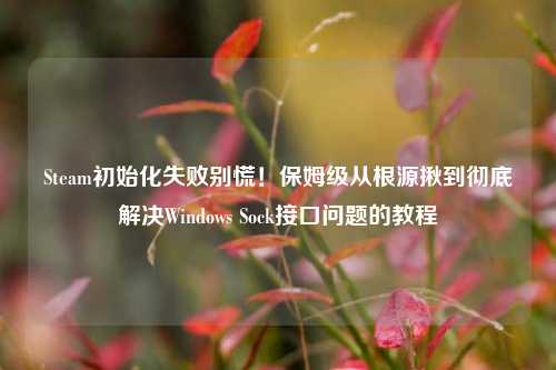 Steam初始化失败别慌!保姆级从根源揪到彻底解决Windows Sock接口问题的教程